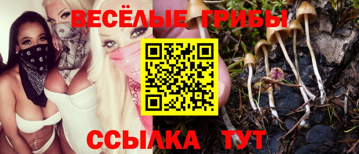 Тула  Галлюциногенные грибы мицелий  Галлюциногенные грибы Cubensis  Вход с VPN 