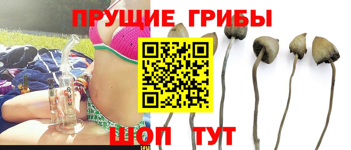 Псилоцибиновые грибы ЛСД Тула